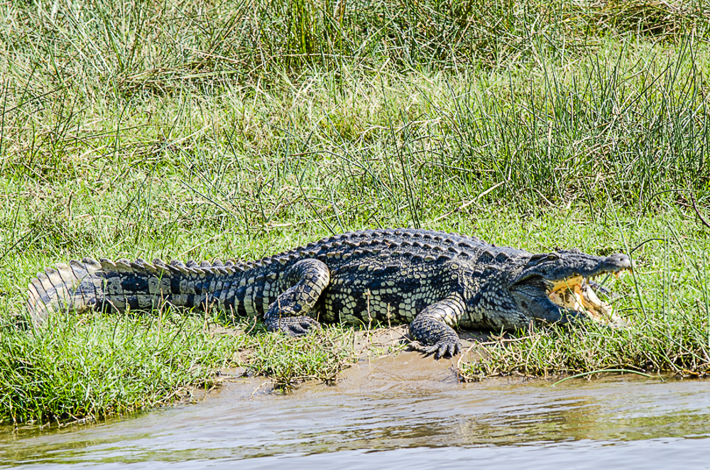 150227_102440_150227_102440__MPM7438